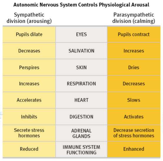 autonomic nervous system controls physiological arousal