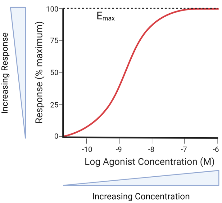 <p>Emax in the Concentration Response Curve</p>
