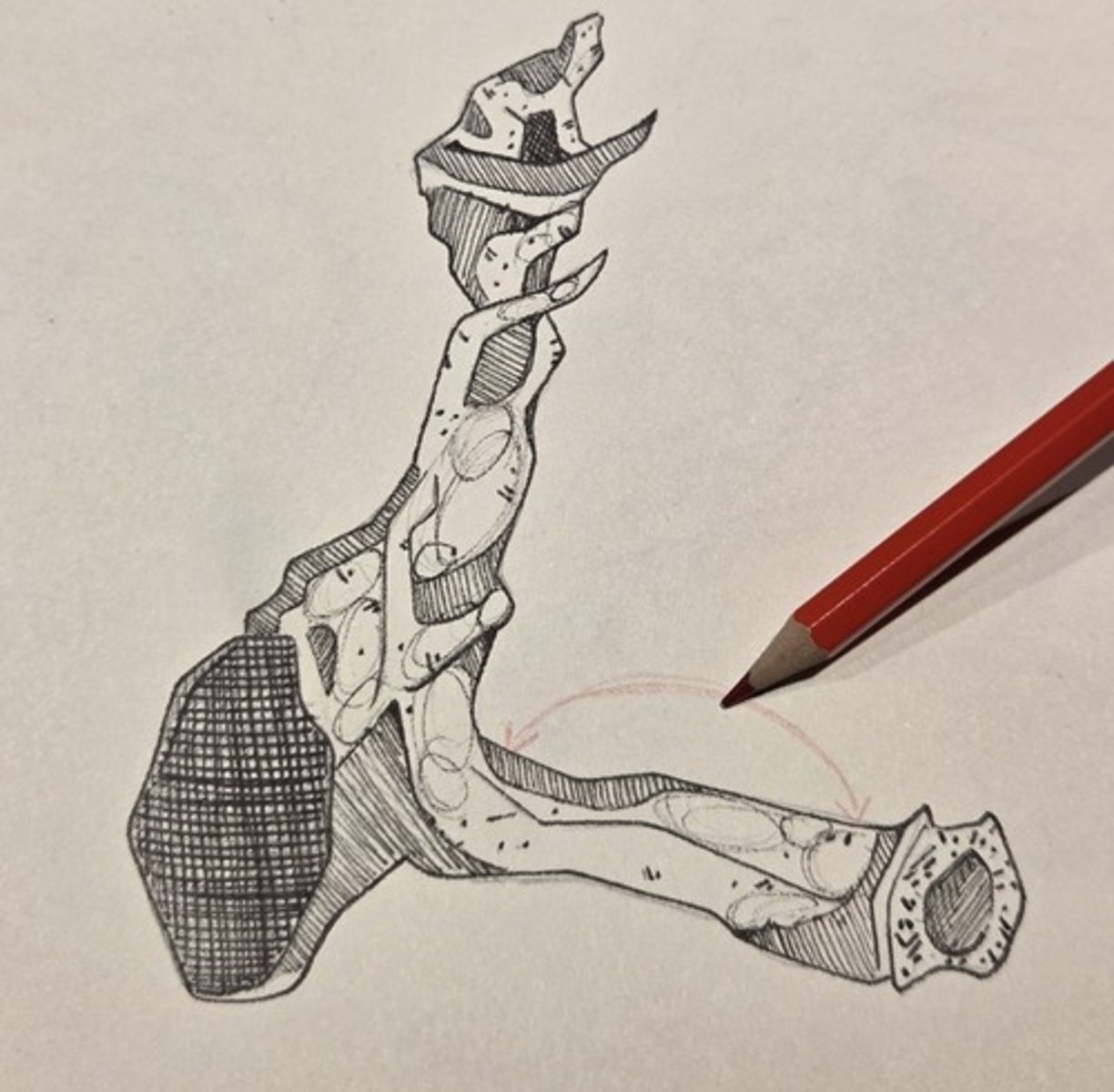 <p>forms the posterior portion of the hard palate</p>