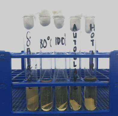 <p>What is/are the physical agent/s of sterilization in this setup? (If there is more than 1 answer, indicate your answers in this format: Arrange answers in alphabetical order following the first letter of the answer. Separate answers with a comma after the first answer then a space before the second answer. EXAMPLE: Physical agent A, Physical agent B)</p>