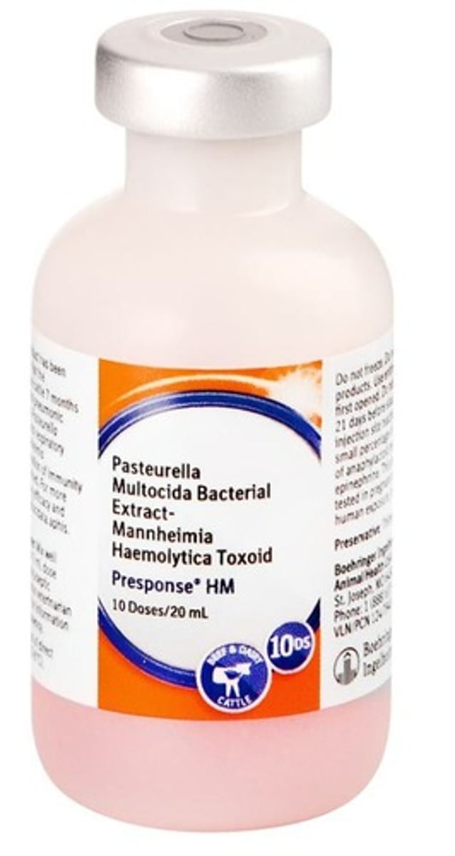 <p>To provide immunity from bacteria associated with BRD, specifically Pasteurella multocida and Mannheimia haemolytica.</p>