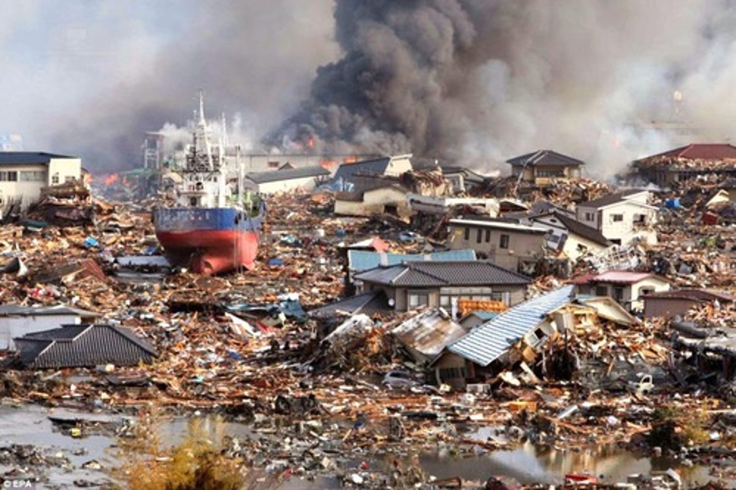<p>disaster</p>