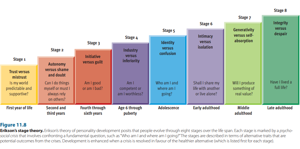 * partitioned the life span into eight stages, each of which brings a psychosocial crisis involving transitions in important social relationships
* partitioned the life span into eight stages, each of which brings a psychosocial crisis involving transitions in important social relationships
* described stages in terms of these antagonistic tendencies, which represent personality traits that people display in varying degrees over the remainder of their lives
* pro: accounts for both continuity and transition in personality development.
* con: depended heavily on illustrative case studies, which are open to varied interpretations. Provides “idealized” description of “typical” developmental patterns. So, it isn’t well suited for explaining the enormous personality differences that exist among people