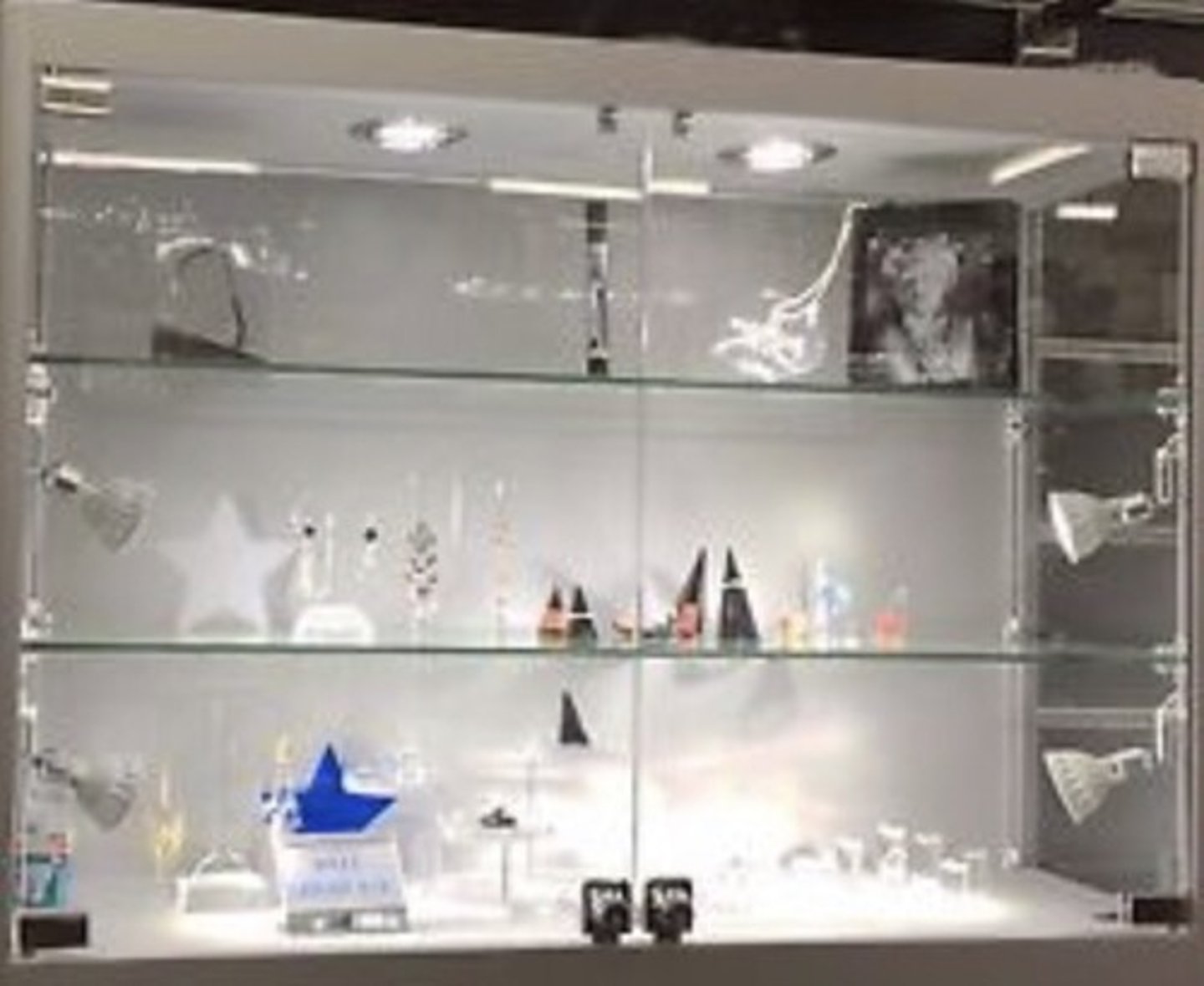 <p>a container with glass sides in which valuable or important objects are kept so that they can be looked at without being touched, damaged, or stolen</p>