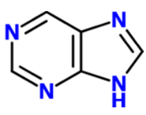 <p>Name this structure:</p>