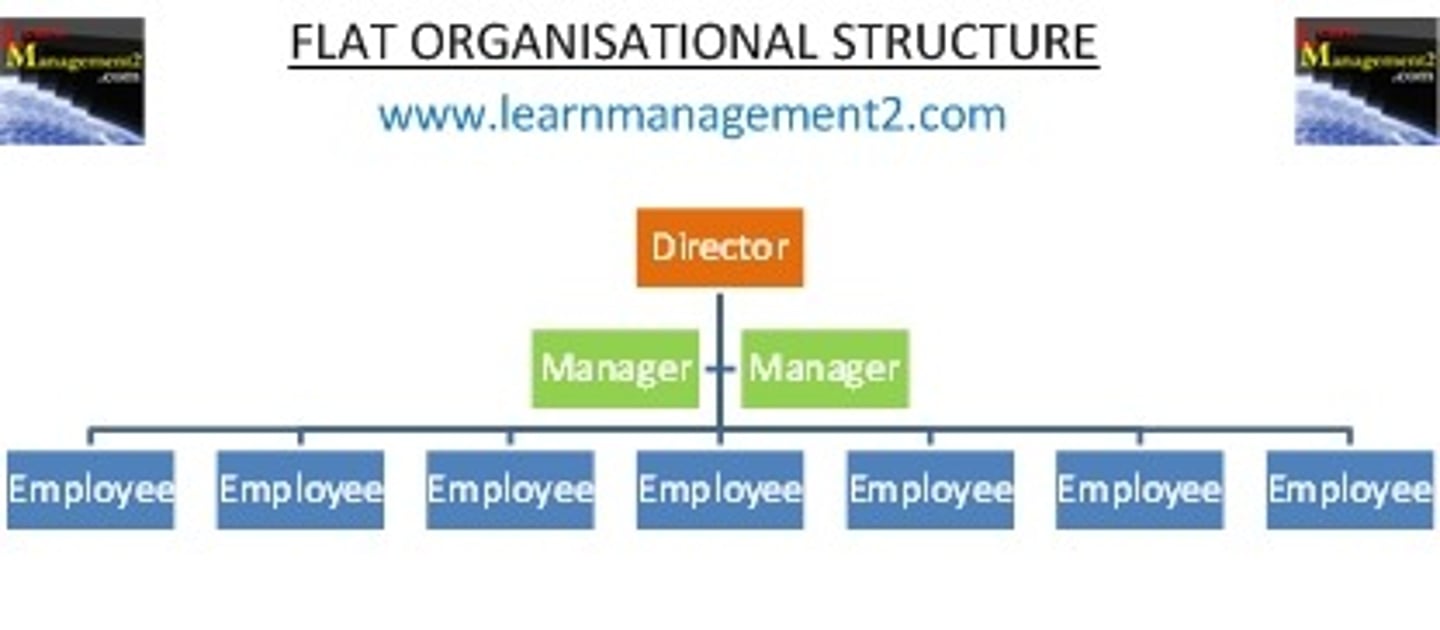 <p>span of management is wide and therefore has few hierarchical levels; fewer layers of management</p>