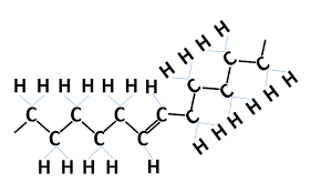 <p><span>one or more double bonds in their carbon chains</span></p>