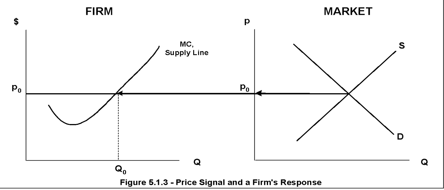 <p>The firm will want to produce</p>