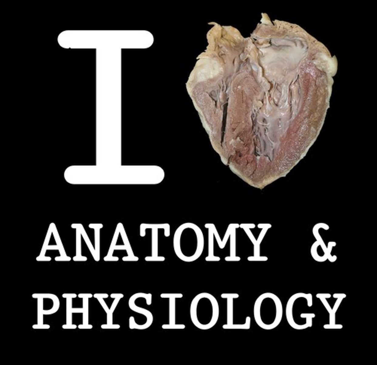 <p>How the body functions</p>
