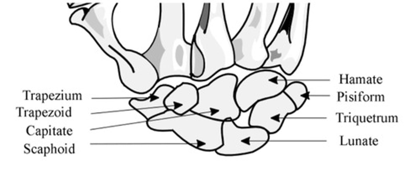 <p>Some</p><p>Lovers</p><p>Try</p><p>Positions</p><p>That</p><p>They</p><p>Can't</p><p>Handle</p>