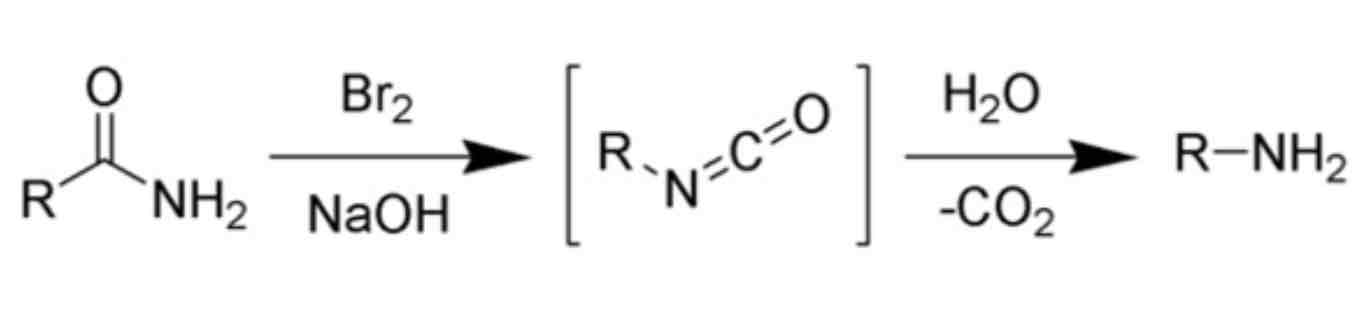 <ul><li><p>Forms a primary amine FROM a primary AMIDE</p></li><li><p>Uses a strong base of NaOH</p></li><li><p>In the presence of the halogenating agent Br2</p></li></ul>