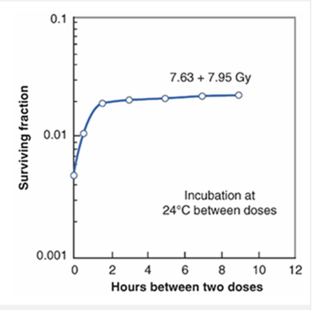 <p>By dividing a large radiation dose into several smaller doses separated by a time interval</p><p>-the plateau that occurs on the graph indicates the time interval where all sublethal damage has been repaired and there is no advantage to increasing time between fractions</p><p>-the cells in this graph were maintained at room temp between dose fractions to prevent them from moving through the cell cycle</p>
