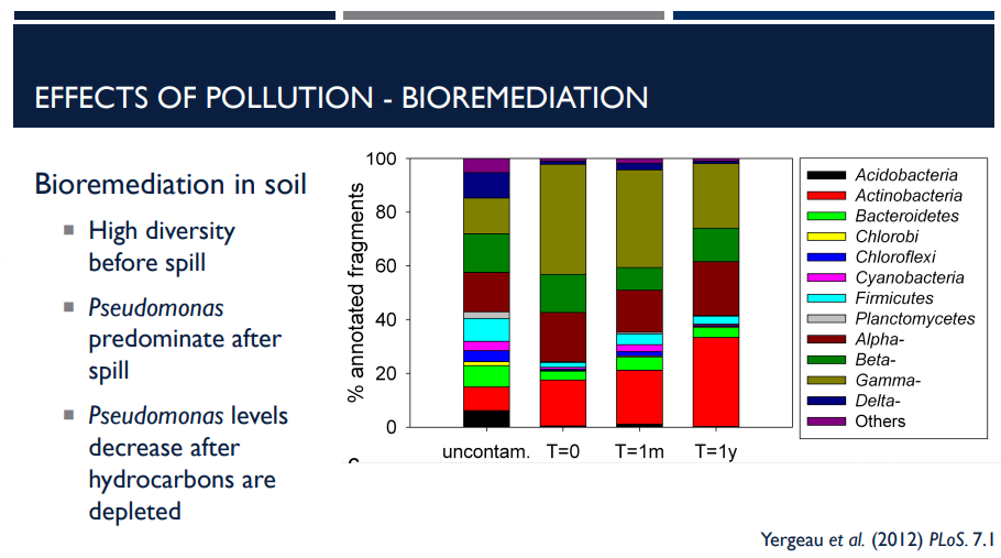 <p>Bioremediation is the use of microbes to degrade pollutants like with oil spills. In soil, there must be a high diversity before the spill. What does that mean? </p>