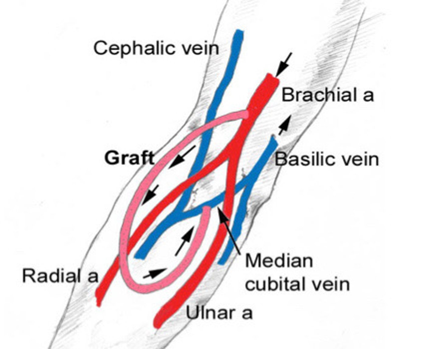 <p>What does this image show</p>