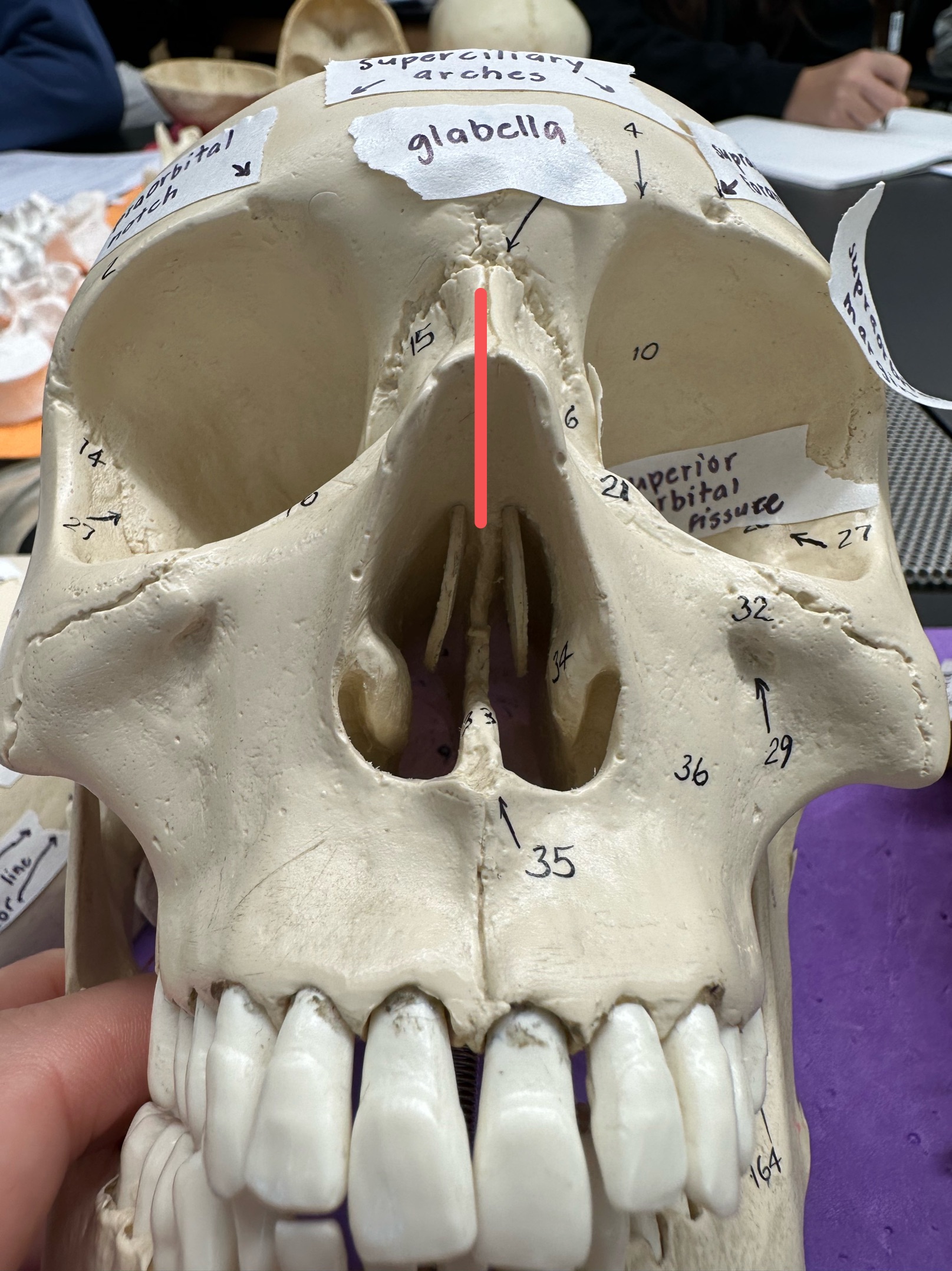 <p>ID feature</p>