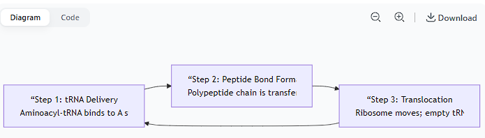 <ul><li><p>List the basic steps that must occur in protein synthesis, including details of each step.</p></li></ul><p></p>