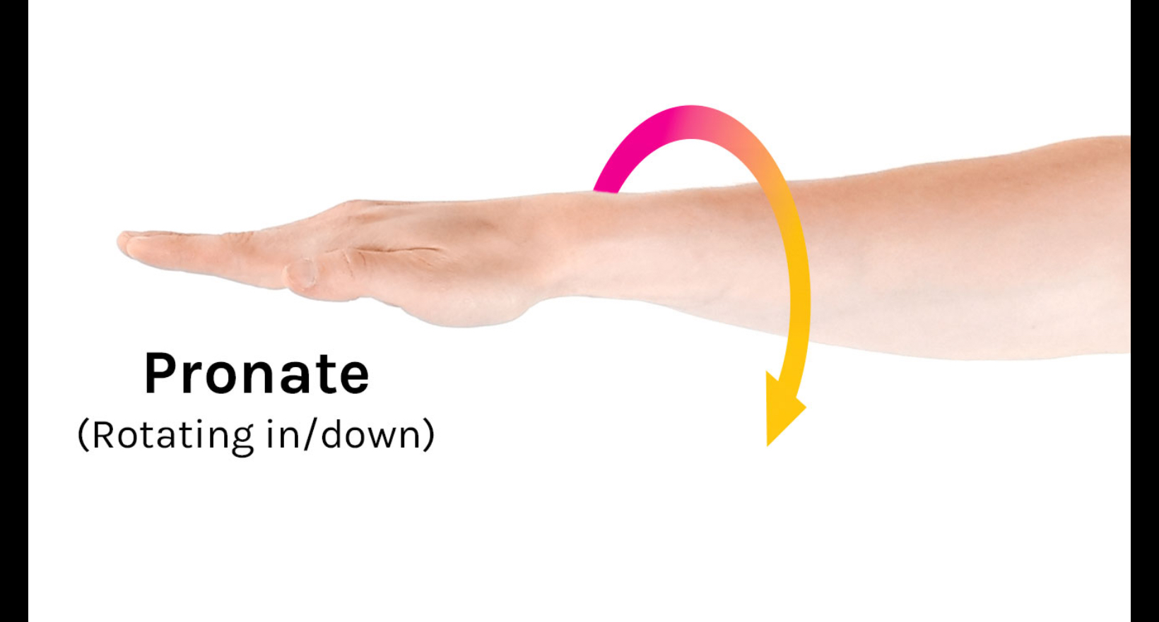 <p>Internal rotation or flip hand back (palm down)</p>