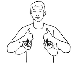term image