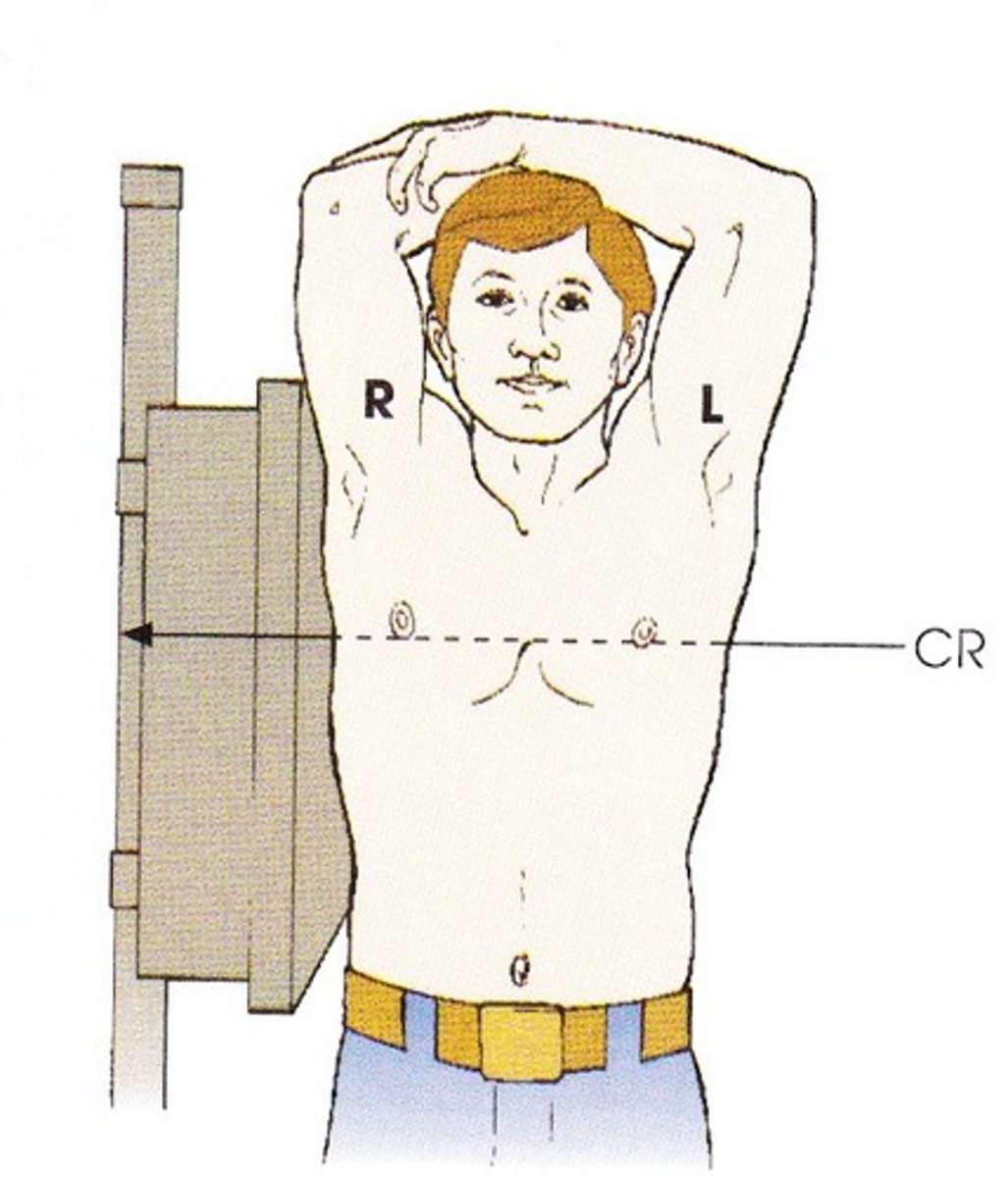 <p>stand up straight</p>