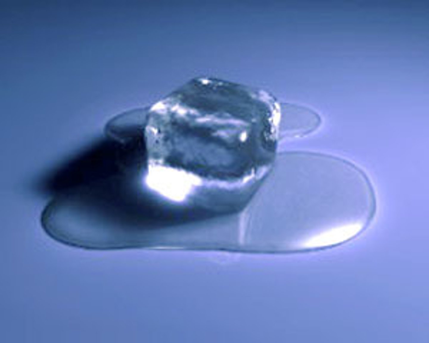 <p>the understanding that some things that have been changed can be returned to their original state (e.g., water → to ice → to water)</p>