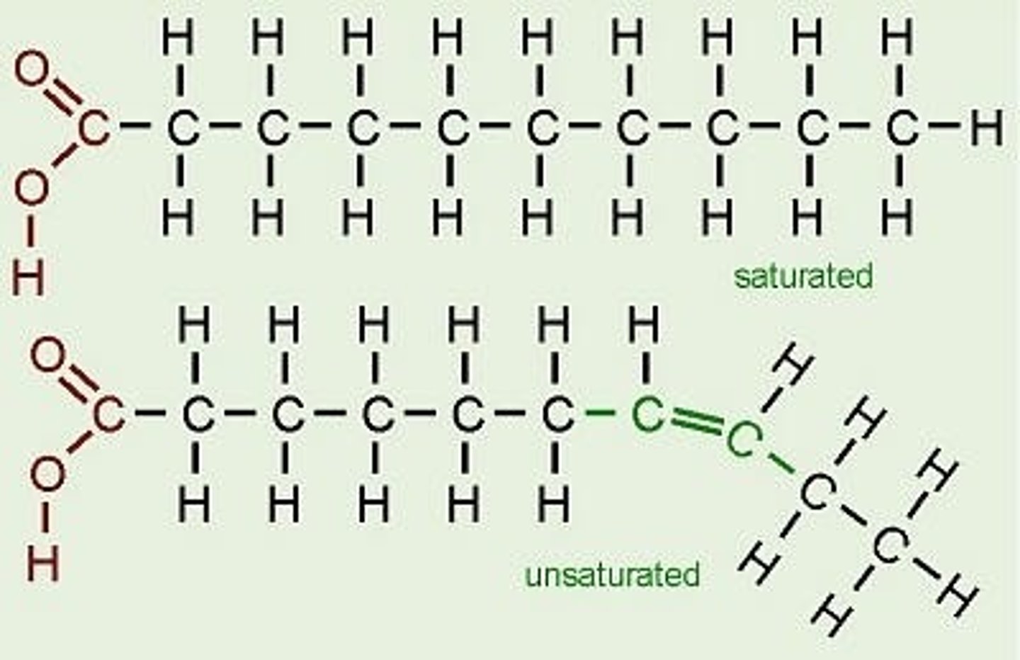 <p>Saturated fats are fully saturated with hydrogens, meaning that they do not have any double bonds.</p><p>Unsaturated fats have one or more double bonds.</p>