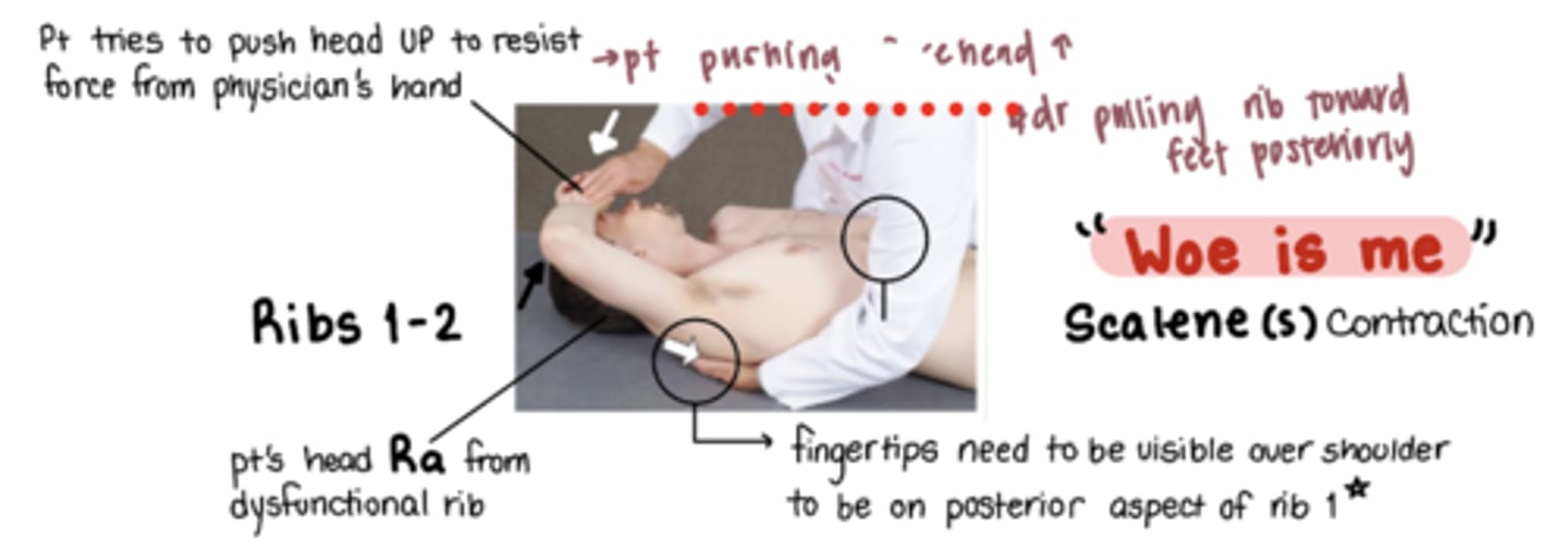<p>"woe is me"</p><p>m: scalenes</p><p>stand on same side as SD</p><p>Pt head RA from dysfunctional rib</p><p>index and middle finger hook onto posterior and SUPERIOR aspect of the dysfunctional rib pulling rib inferolaterally at the rib angle</p><p>ribs are stuck DOWN</p>
