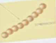 <p>Round or spherical bacteria in <strong>chains</strong> and occur along a <strong>single axis</strong></p>