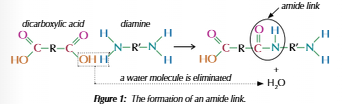 <ul><li><p>Dicarboxylic acids &amp; Diamines</p></li><li><p>Carboxyl &amp; amine group form <u>amide</u> link</p></li><li><p>Water molecule lost every link</p></li></ul><p></p>