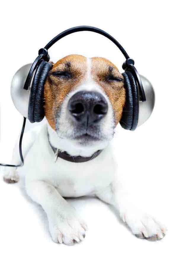 <ul><li><p>Studied the <strong>priming</strong> of <strong>aggressive scripts</strong> in memory by investigating a neglected form of media violence - <strong>song lyrics </strong></p><ul><li><p>Male Ps listened to songs featuring <strong>aggressively derogatory lyrics about women </strong></p></li><li><p>Compared with when they listened to neutral lyrics, Ps recalled more negative qualities about women and behaved more aggressive towards female confederates</p></li></ul></li></ul>