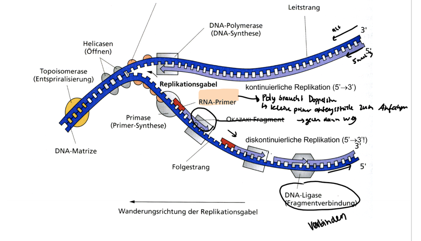 <p>erkläre.</p>