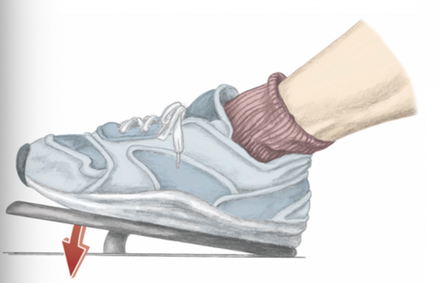 <p>please identify the movement and its location</p>