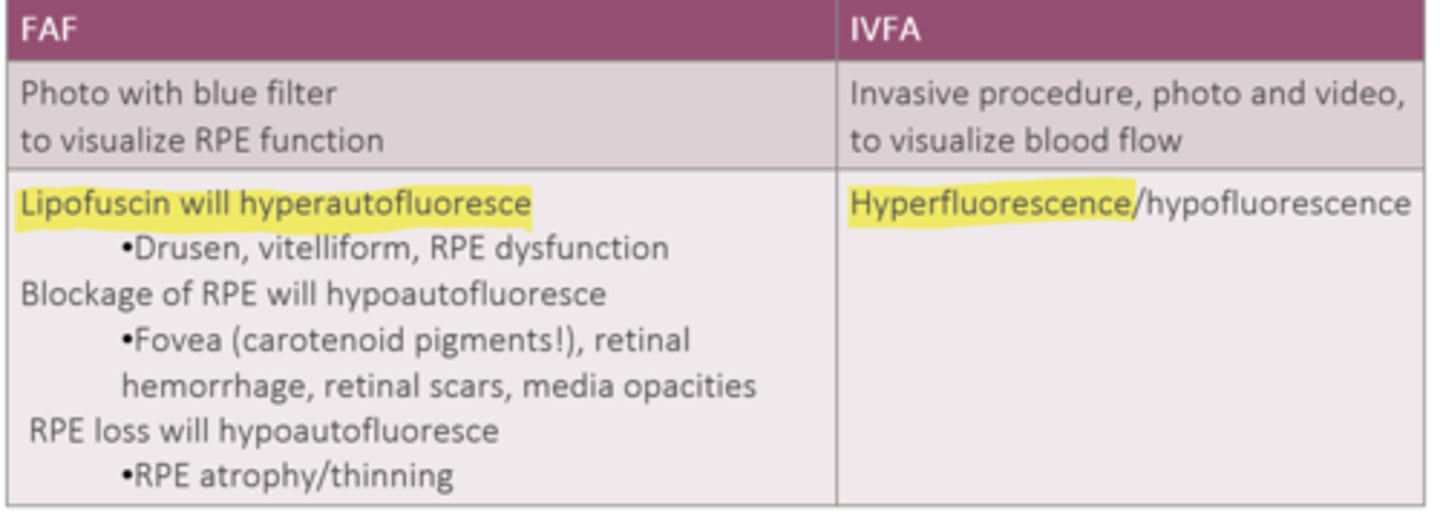 <p>IVFA = lack of blood flow</p><p>FAF = RPE loss, RPE blockage from fovea carotenoids, hemorrhage, scar, opacities</p>