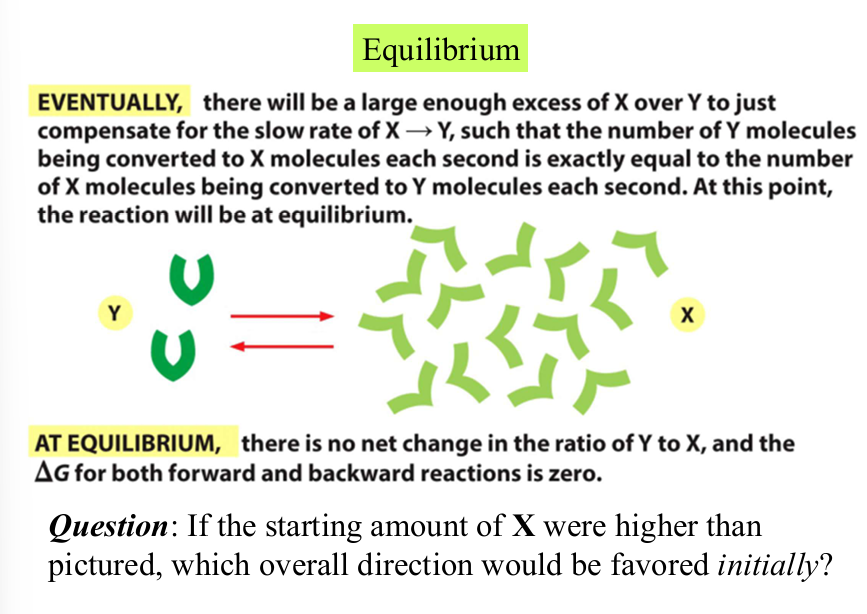 <p>state in which<em> no net changes</em> in the amounts of reactants and products occurs </p><p>both directions of the reaction occur with the same frequency</p><p>as reaction proceeds toward equilibrium, entropy increases</p>