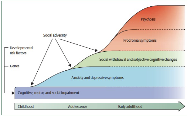 <p>genetic risk + early environmental factors can impact early brain development and thus increases likelihood of psychosis onset upon maturation with increased demands. ongoing stressors, substance use, lack of social support can further increase this risk.</p>