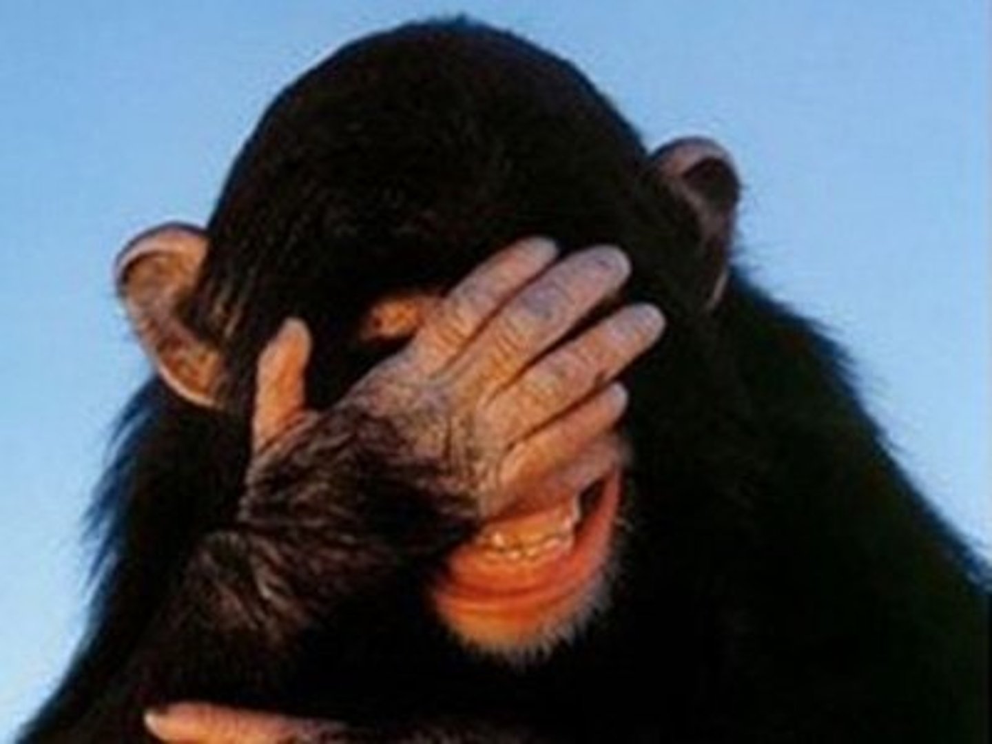 <p>an extremely confused, complicated, or embarrassing situation</p>
