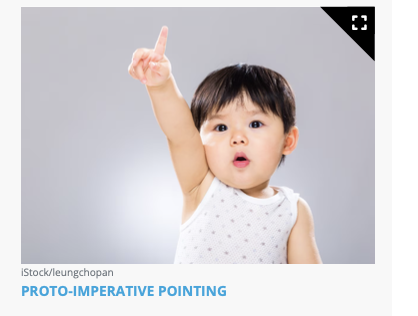 <p>Seeks parent’s interest in objects</p><p class="p2">Proto-imperative pointing (Represents pointing to an object to communicate that it is desired or requested.)</p>