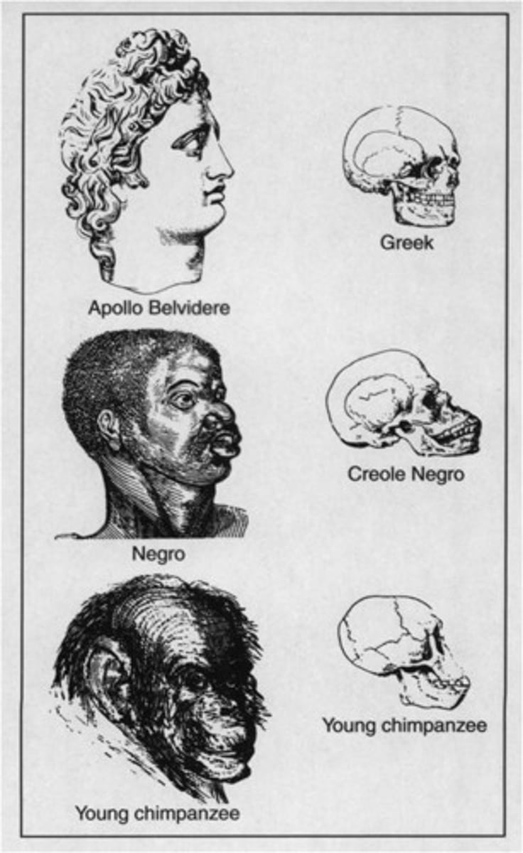 <p>A late nineteenth- and early twentieth-century movement that sought to improve the gene pool of the human race by encouraging those deemed fit to have more children, and by discouraging those deemed unfit from reproducing. The movement was deeply tied to racism, and was eventually adopted by the German Nazi regime to justify the extermination of "undesirable" populations.</p>