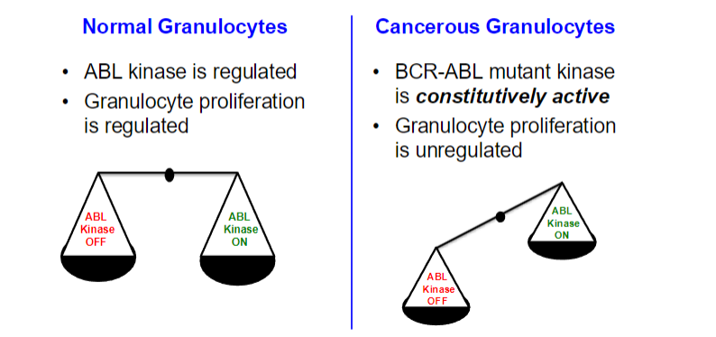 proliferation = rapid reproduction or increase in numbers