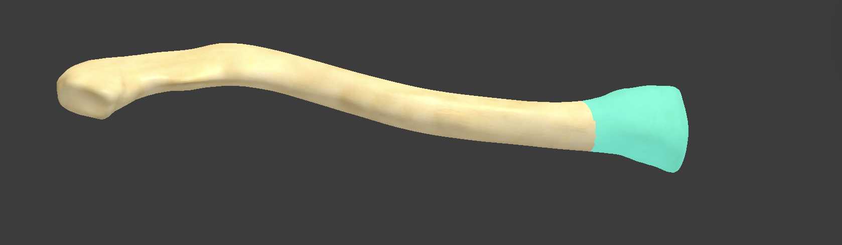 <p>Name bone</p>