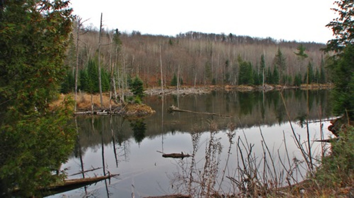 <p>ecological</p>