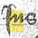 term image