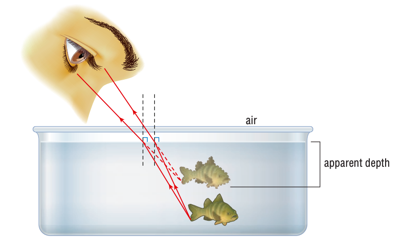 <ul><li><p>the depth that an object appears to be </p></li><li><p>due to the refraction of light in a transparent medium</p></li><li><p>E.g. fish in cup of water seem to be nearer (closer to the surface of the water) than it really is </p></li><li><p>E.g. Person’s leg under water appear short than real</p></li></ul>