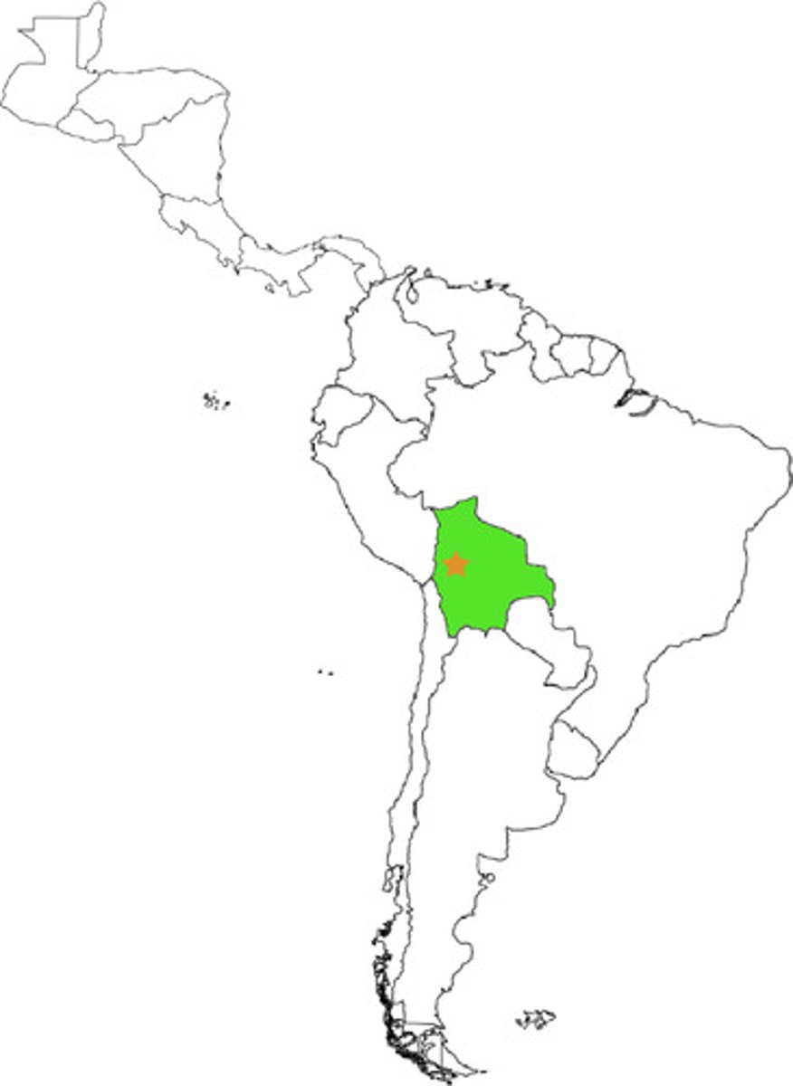 <p>Located in Bolivia, one of the richest silver mining centers and most populous cities in colonial Spanish America.</p>
