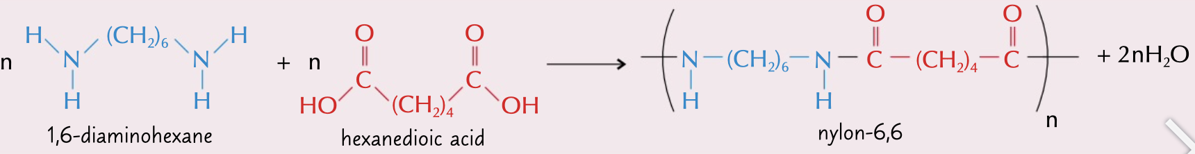 <p>nylon formed in condensation reaction between diamine and dicarboxylic acid</p><p>named by nylon-x,y where x and y are the number of carbon atoms in each monomer</p>
