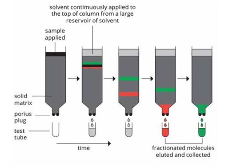 <p>What protein separation by chromatography?</p>