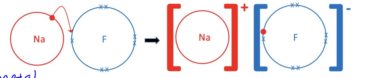 <p>*outer shells are only shown </p>