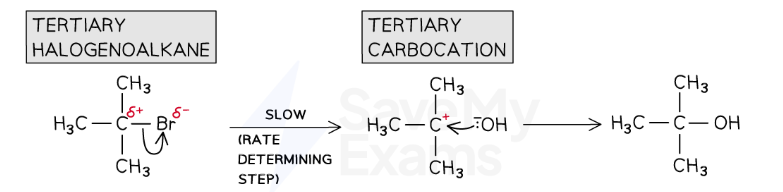 <p>Tertiary Carbocation</p><p>Two step process<br>n the first step, the C-X bond breaks <strong>heterolytically </strong>and the halogen leaves the halogenoalkane as an X<sup>-</sup> ion (this is the <strong>slow</strong> and <strong>rate-determining step</strong>)</p><ul><li><p>This forms a <strong>tertiary carbocation&nbsp;(which is a tertiary carbon atom with a positive charge)</strong></p></li><li><p>In the second step, the tertiary carbocation is attacked by the <strong>nucleophile</strong></p></li></ul><p></p>