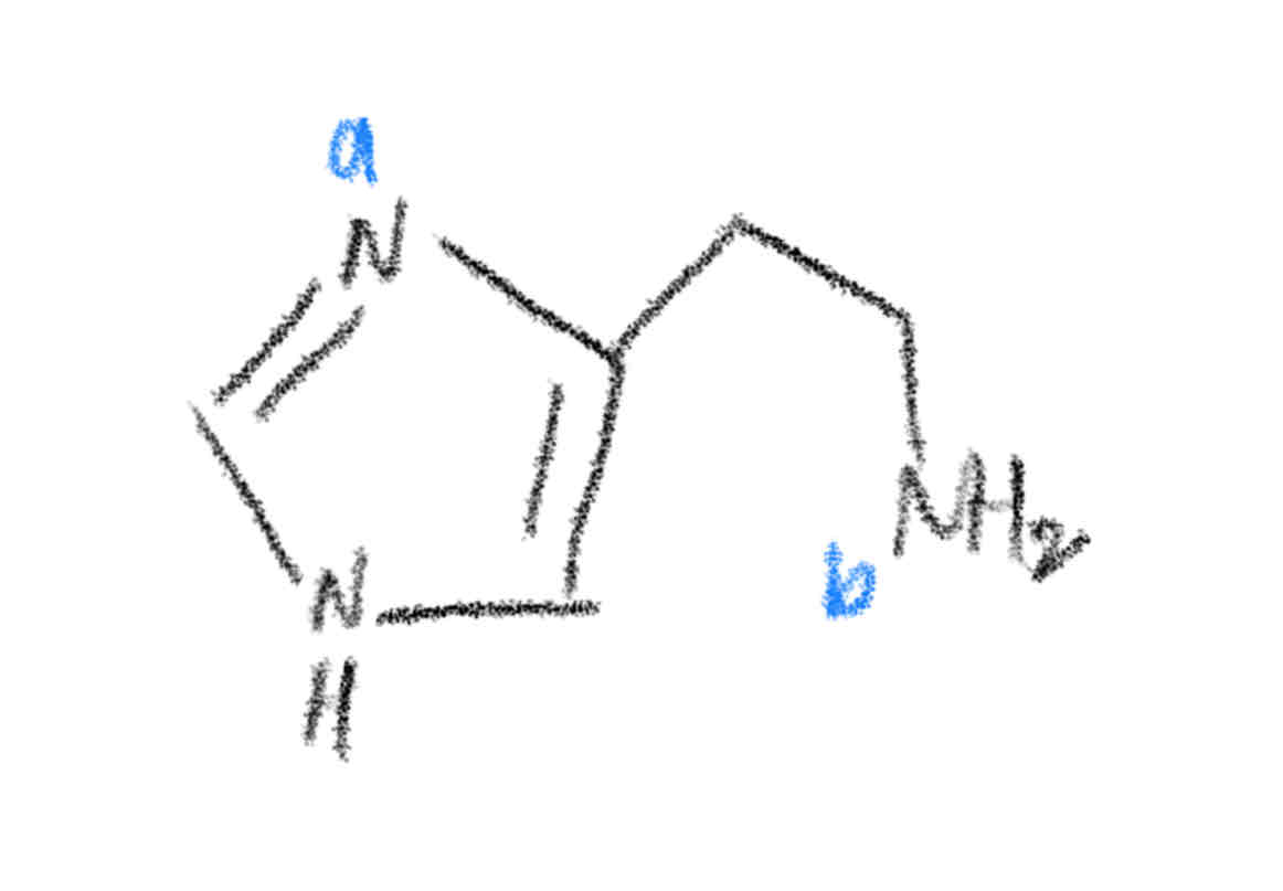 <p>[AMINO ACIDS]</p><p>Explain the relative basicities of N(a) and N(b). </p>