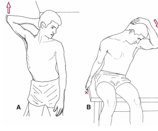 <p>Self-stretching: on R/L upper trapezius x 15sH x 10 reps x 1 sets to develop balance in length and strength of shoulder girdle muscles</p>