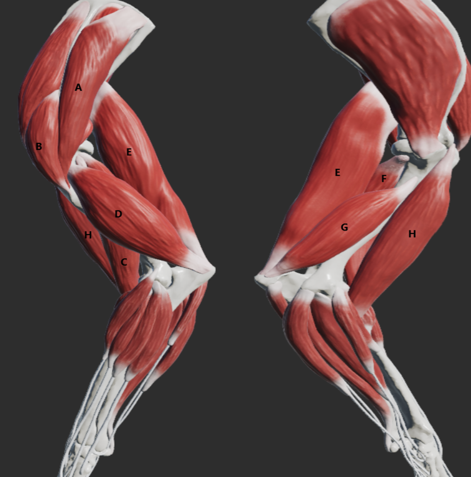 <p>B</p>